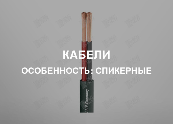 Особенность: Спикерные