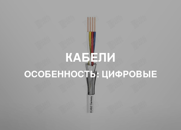 Особенность: Цифровые